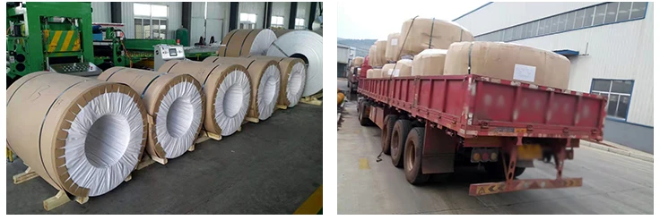 product-736-246 product-736-246